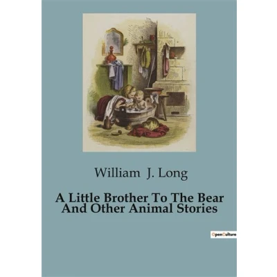 Image de A Little Brother To The Bear And Other Animal Stories