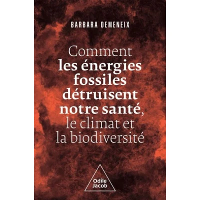 Image de Comment les énergies fossiles détruisent notre santé, le climat et la biodiversité