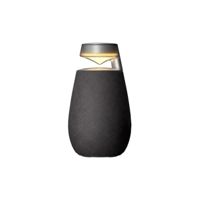 Afbeelding van LG XBOOM Go DXO2T Bluetooth luidspreker 360 (20W, Google Assistant, Siri, verlichting) zwart