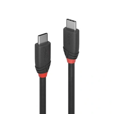 Image de Lindy Black Line Câble USB 24 pin C (M) pour 3.1 3 A 50 cm noir