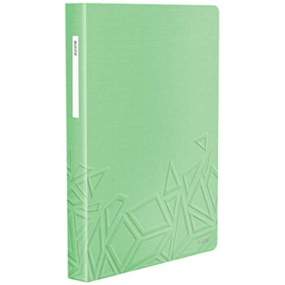 Afbeelding van Leitz Documentenbescherming, A4, 80 hoesjes, capaciteit 160 vellen, transparante groen, Urban Chic, 46 520 050