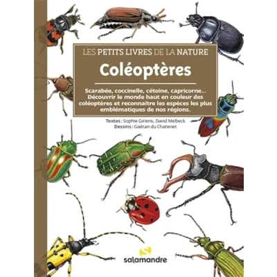 Afbeelding van COLEOPTERES