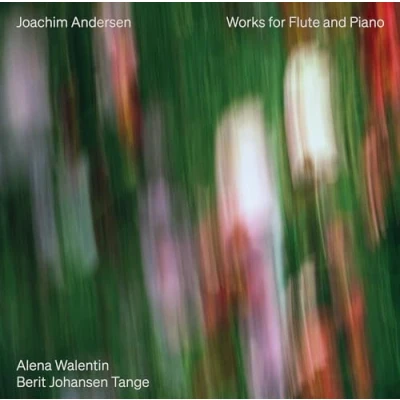 Afbeelding van Alena Walentin &amp; Berit Johansen Tange Andersen: Works For Flute And Piano (2 CD)