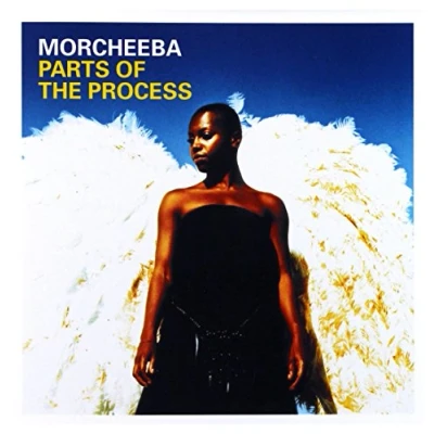 Afbeelding van Parts Of The Process (inclusief bonus DVD)