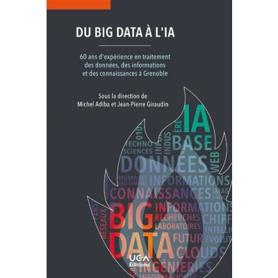 Image de Du Big Data à l&#039;IA