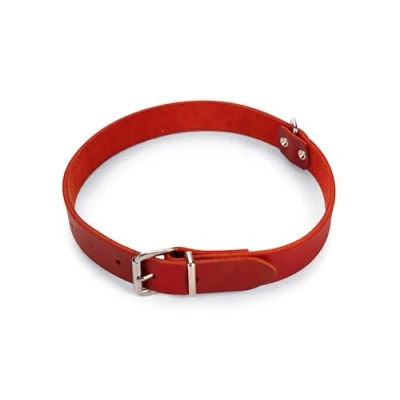 Afbeelding van Karlie rondo halsband geklonken rood 70 cm lang en 25mm breed