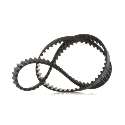 Afbeelding van Getande riem DAYCO 94158