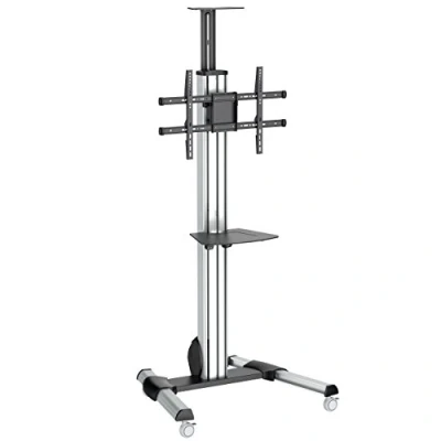 Afbeelding van Trolley Startech STNDMTV70