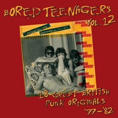 Afbeelding van Various Artists Bored Teenagers, Vol. 12 (CD)