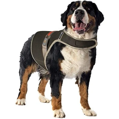 Afbeelding van Duvoplus Dierenvest Hond Veiligheidsjasje Fluo Flash Usb Xlarge Zwart 1st