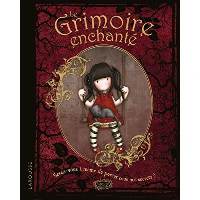 Afbeelding van ISBN 9782035965479 boek Kinderen Frans 144 pagina&#039;s