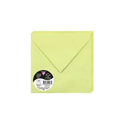 Image de Paquet de 20 enveloppes Pollen 165x165mm Vert Bourgeon 120g