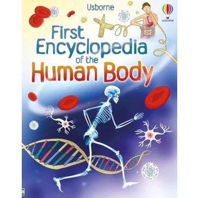 Afbeelding van First Encyclopedia Of The Human Body