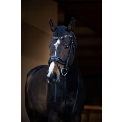 Afbeelding van HB Hoofdstel It is So Special Zwart/Zilver Full