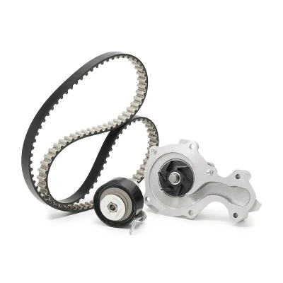 Afbeelding van Waterpomp + distributieriem set DAYCO KBIOWP020