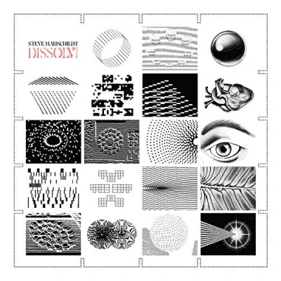 Afbeelding van Steve Hauschildt Dissolvi (LP)