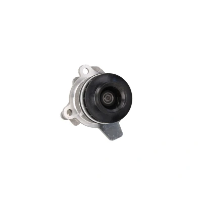 Afbeelding van AISIN WPN 930 Waterpomp NISSAN: Pathfinder 3, NP300 Navara Pickup