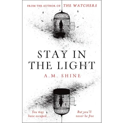 Afbeelding van Stay in the Light