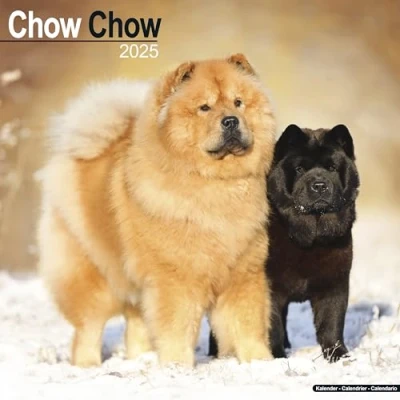 Afbeelding van Chow Kalender 2025