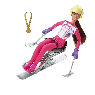 Afbeelding van Winter sports paralympic skier HCN33