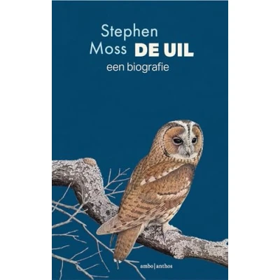 Afbeelding van De uil