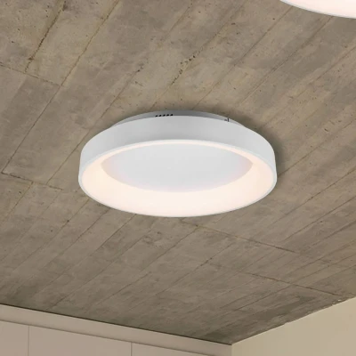 Afbeelding van Trio Leuchten Girona 671290131 Led plafondlamp, metaal, mat acryl, met led, 48 W dimmer, geheugenfunctie, nachtlampje, afstandsbediening