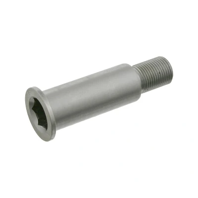 Afbeelding van Febi Bilstein Lagerpen spanrolschommel 01963