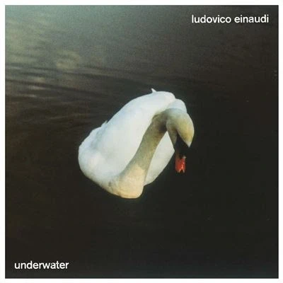 Afbeelding van Ludovico Einaudi Underwater (2 LPs)