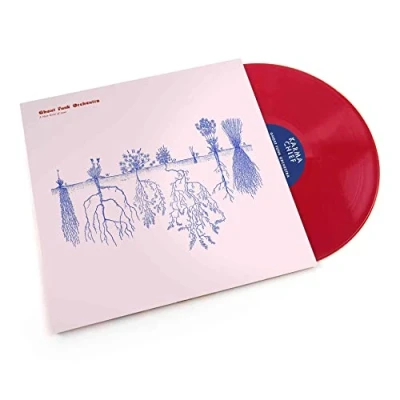 Afbeelding van Ghost Funk Orchestra A New Kind of Love (LP)