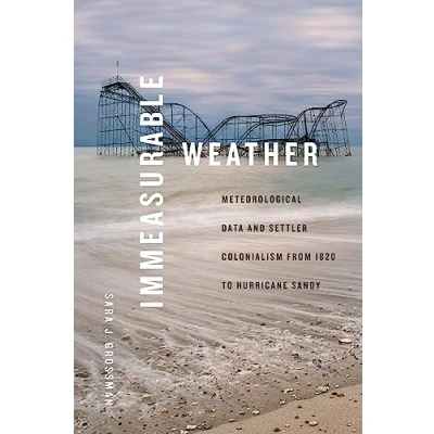 Afbeelding van Elements Immeasurable Weather