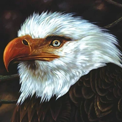 Afbeelding van Mogwai Hawk Is Howling (CD)