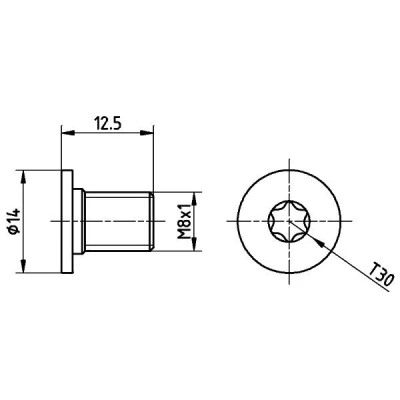 Afbeelding van Schroef, remschijf TEXTAR TPM0002