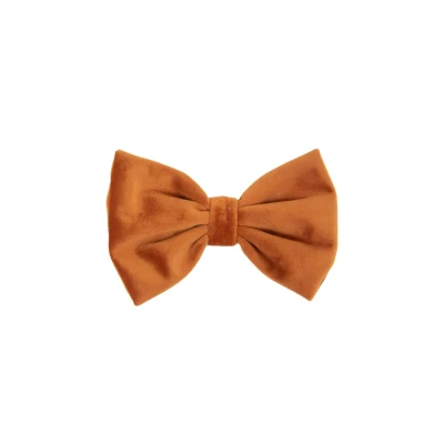 Image de Kentucky Bow Tie velours Orange S