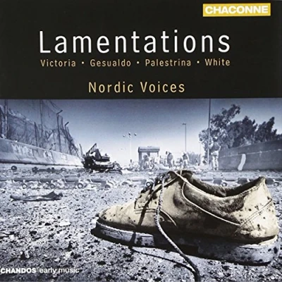 Afbeelding van Nordic Voices Lamentations (CD)