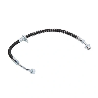 Afbeelding van DELPHI LH6976 Remslang 419 Banjo