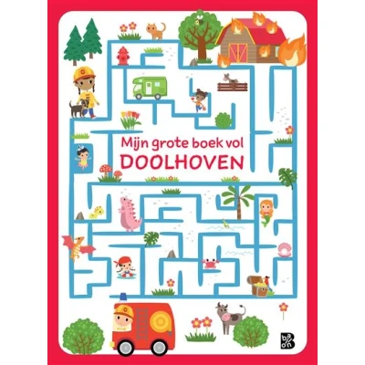 Image de Mijn grote boek vol doolhoven