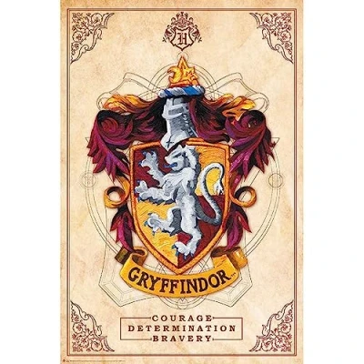 Afbeelding van Poster Harry Potter Gryffindor 61x91,5cm