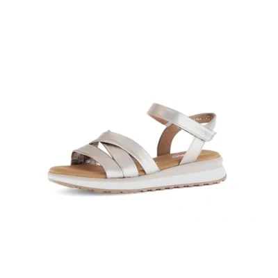 Afbeelding van Gabor Sandalen met riempjes voor dames, Poeder 82, 38 EU