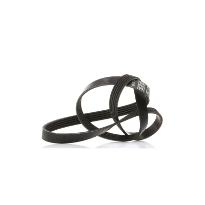 Afbeelding van Febi Bilstein Poly V riem 28863