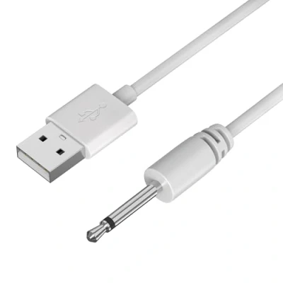 Afbeelding van PHONILLICO Oplaadkabel compatibel met Lovense Lush Hush Edge Osci kabel 80 cm schacht 18 mm diameter 2,5