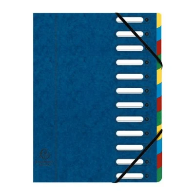 Image de Trieur HARMONIKA® à fenêtres avec élastiques Nature Future carte lustrée 12 compartiments Bleu