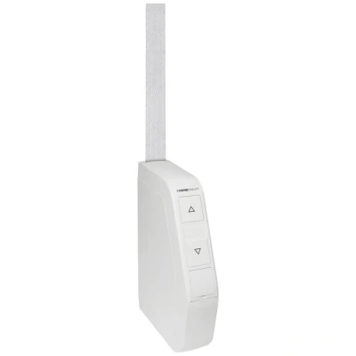 Afbeelding van HOMEPILOT 10252330 RolloTron pure smart AP Elektrische bandopwinder 23 mm Trekkracht (max.) 30 kg Opbouw (op muur)