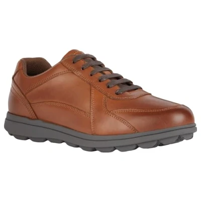 Afbeelding van Geox U Spherica Sneakers laag, Heren, Maat: 39, Cognac Leer