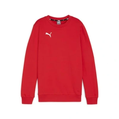 Afbeelding van PUMA Teamgoal Casuals Crew Neck Swe gebreide trui voor jongens