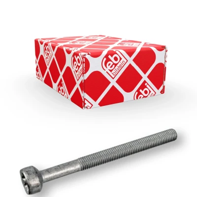Afbeelding van FEBI BILSTEIN 172930 Schroef, inspuitstukhouder MERCEDES BENZ: E Class Saloon, C Vito Minibus