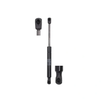 Afbeelding van Stabilus Gasveer, deur 646294