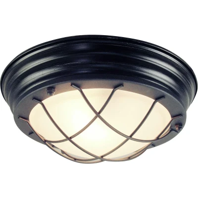 Afbeelding van Brilliant Typhoon Plafondlamp 1xE27 max 60W Zwart