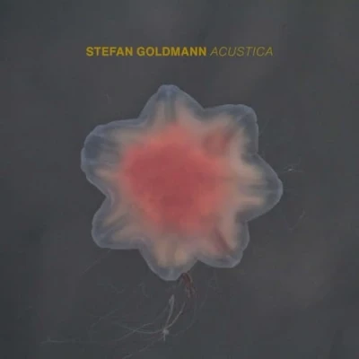 Afbeelding van Stefan Goldmann Acustica (CD)