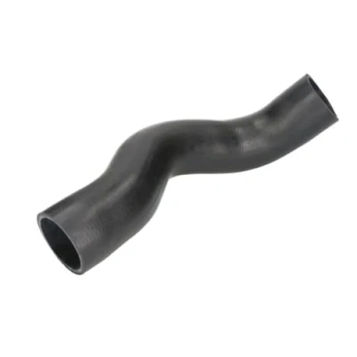 Afbeelding van THERMOTEC DC1101TT Laadluchtslang NISSAN: NP300 Navara Pickup