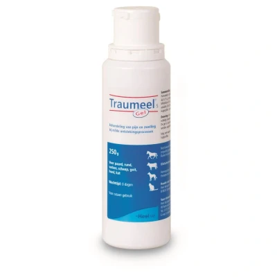 Image de Traumeel S Gel